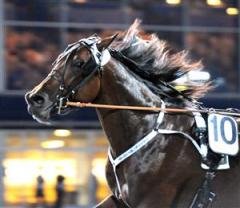 maharajah_lj_090630_19244