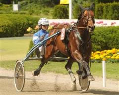 wellino-boko-lj_090708_1566