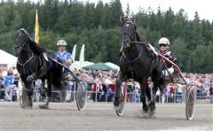 fakse_mal_mg_090725_174325