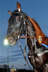 nu_pagadi_lj_090813_17657