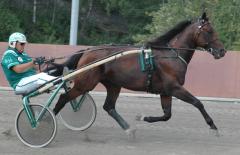 Marre-augusti-1