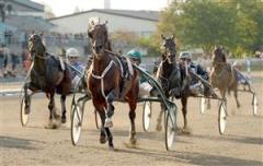 1-maharajah-mal2-lj_090906_191427