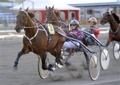 tipp-tapp-tull-aln_091026_164857