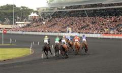montelopp_vincennes_lj_100218_195214