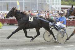 dead-wood-aln_100930_153450