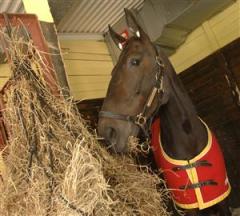 giantdiablo_101026_10634