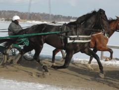 Panne-