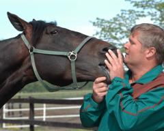 Jaded och Stefan Hultman har också egna lopp i kväll på Solvalla. Foto: Travkompaniet