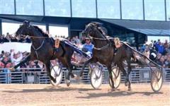 Brioni får nosen först i en tätslutstrid och svarar för tidernas skräll i Elitloppet. Foto: Lars Jakobsson