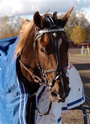 commander_110710_191147