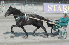 Panne-120424-9