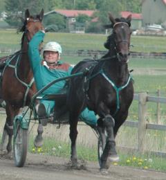 Stefan-helnojd