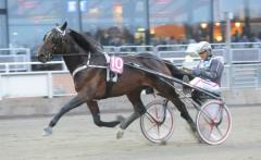 Svante Båths Quid Pro Quo är en av 114 treåringar som jagar en finalplats i E3. Foto av LARS JAKOBSSON