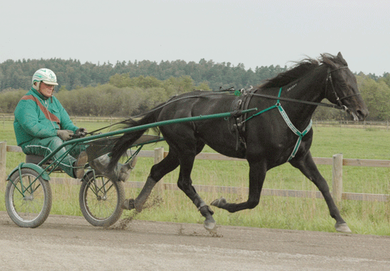 Panne-De-Moteur-120830-3