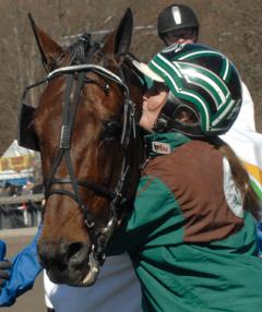 Maharajah och Lisa laddar om mot Elitloppet. Foto; C.Kärrstrand