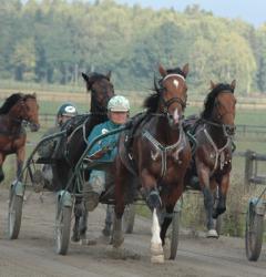Ruhuna Tea laddar också mot Kriteriekval. Foto; A.Lindblom/Travkompaniet