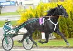 Panne De Moteur Foto; ALN