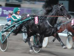 Orecchietti-131208-5