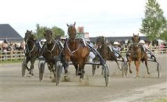hot_shot_knick_kihlstrom_mh_070711_22463