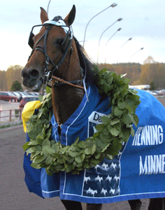 Jocose har vunnit flera stora lopp i år