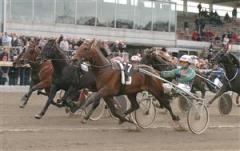 torvald_palema_svanstedt_080413_18129