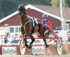 red_chili_pirat_lj_080512_164555