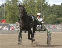 arras_lj_080529_201513