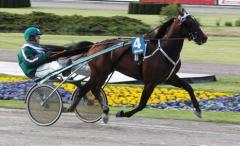 Stocken