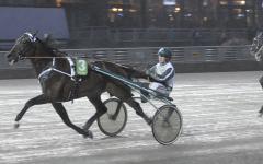 Maharajah var återigen överlägsen, här i sin femte raka seger. Foto: ALN