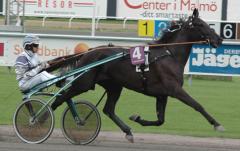Derbyt