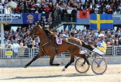 Going Kronos och Lutfi Kolgjini inför årets Elitlopp. Nu har stjärntravaren gjort sin sista start och kommer att ägna sig åt avel. Foto: Maria Holmén