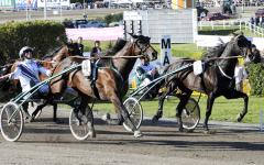 Triton Sund satte nytt svenskt rekord i Gulddivisionssegrar på ett år 2008. Det blev hela 10 segrar, en av dom var Sundsvall Open Trot (bilden) där Hultman fick en tränardubbel med vår egen urtappre Jaded på andraplats. Foto: ALN