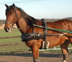 Malte-jan-09-3