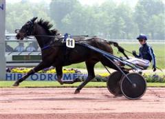 Nimrod Borealis. Foto: Gerard Forni