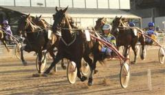 3-quassia-lascaux-mal-lj_090527_22424