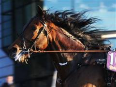 5-yield-boko-pa-bettet-i-mal-lj_090617_22106