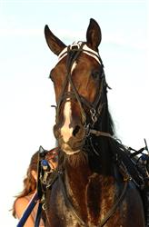 brioni_mh_090730_184018