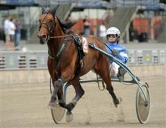 wellino_boko_090812_113645