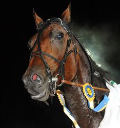 5-caddie-comet-med-segerrosetter-lj_091021_215418