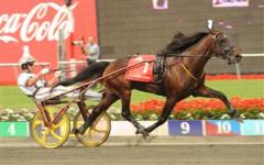 Muscle Hill vid segern i Hambletonian Stakes i somras. Foto: Lars Jakobsson