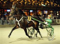 Mäktige Quarcio du Chene och Björn Goop startar på Vincennes på torsdagen och kan säkert glädja många svenska spelare om de vinner. Foto: Lars Jakobsson