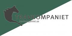 Travkomp-vimpel-low