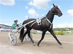 quarcio_du_chene_ck_101005_192527