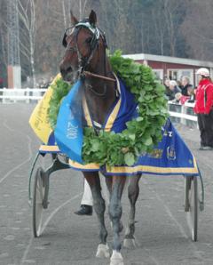 One Too Many vann Travkompaniets första Breeders Crownfinal. Foto: C. Kärrstrand