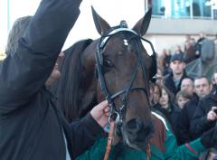Stefan jublar efter segern i Prix D´Belgique. Foto: Travkompaniet