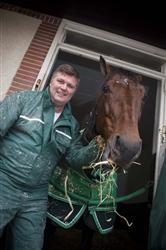 Kan Maharajah ge Stefan Hultman en seger i Prix d'Amerique. P&aring; s&ouml;ndag f&aring;r vi svaret. Foto: Thomas Blomqvist