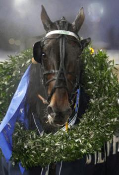 En av våra största hjältar, Jaded kom igång sent på året och avslutade med seger i Silverhästen på Solvalla. Foto: ALN