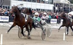 3_torvald_palema_mal_mg_110402_182031