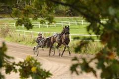 reven-damour-traning-erikssund-lj_110404_171223