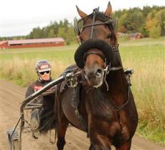 reven-och-henrik-lj_110525_163718